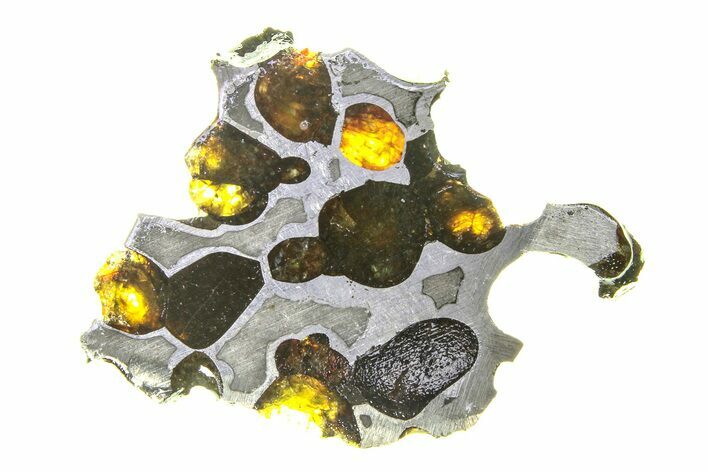 Brenham Pallasite Meteorite ( g) Slice - Kansas #294798